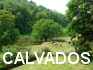 calvados