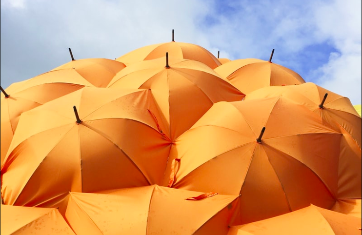 Comment protéger ses associés dans les statuts ? - Annonce légale