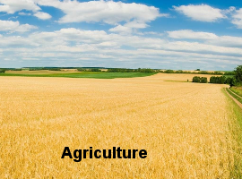 agriculture banniere