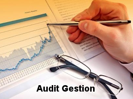 audit gestion