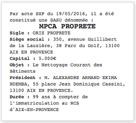 exemple annonce legale sas