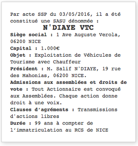 exemple annonce legale nice sas