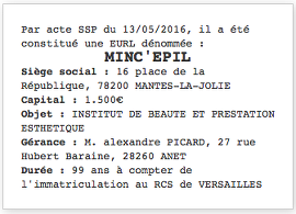 exemple parution legale eurl