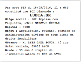 exemple parution legale sci 