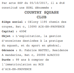 publicite legale eurl marseille