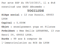 publicite legale sas lyon